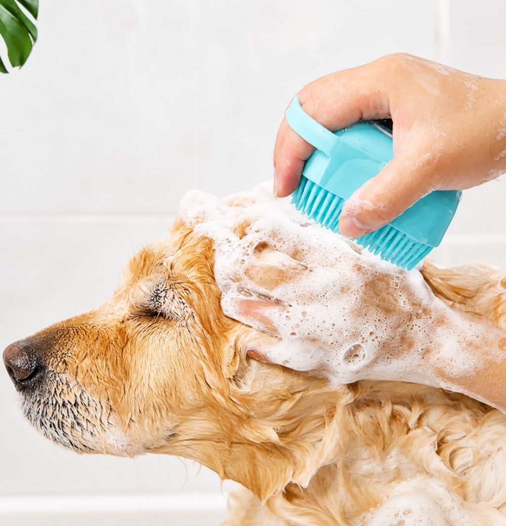 PawLuxe Pet Bath Brush with Shampoo Dispenser – Soft Silicone Grooming & Massage Brush for Dogs & Cats